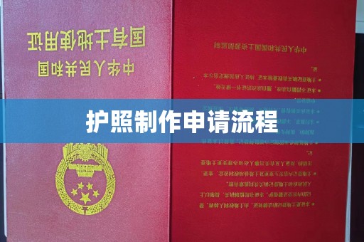 嘉定护照制作申请流程